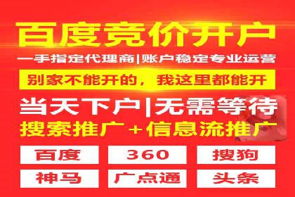 百度平台推广：成功案例解析与效果分析